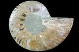 Agatized Ammonite Fossil (Half) - Madagascar #83841-1